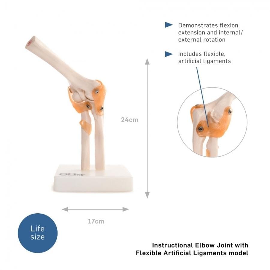 66FIT ELBOW JOINT