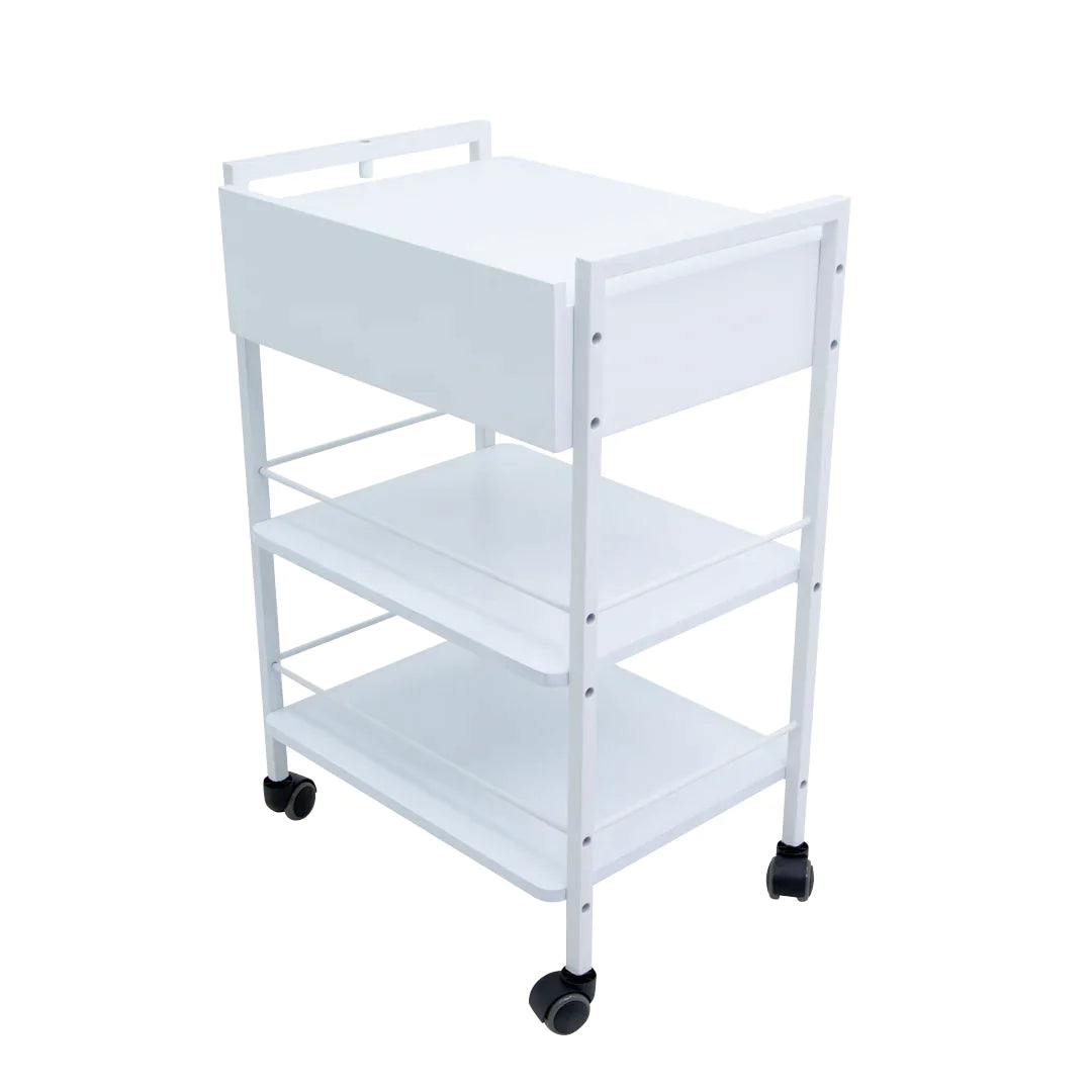 ALLCARE TROLLEY